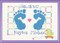 Counted Cross Stitch Kit, Baby Feet Birth Announcement Blue, By the yard